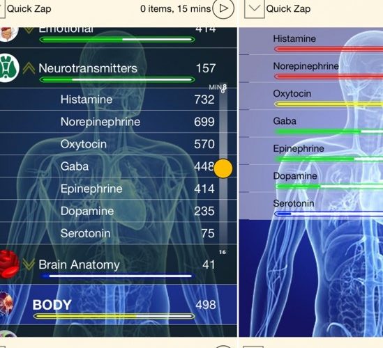 What is frequency medicine? Get a Free Remote Frequency Session in Pelican Bay